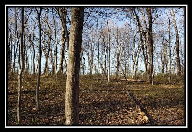 0 Harrison Road Jackson, OH 45640 - Photo 36 of 50 image037
