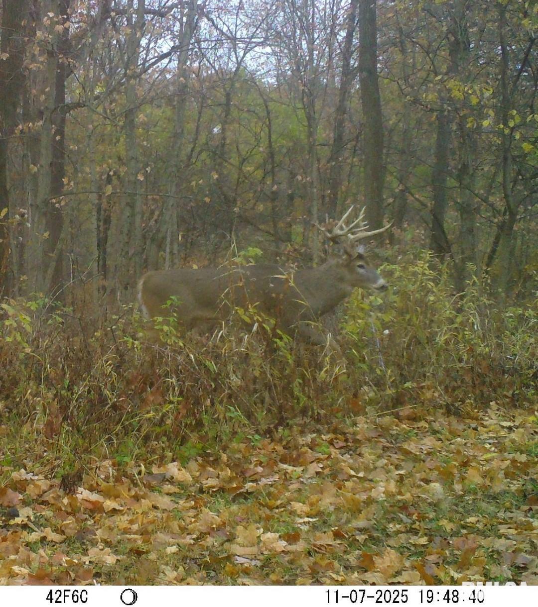 0 North Stone School Road Elmwood, IL 61529 - Photo 85 of 90