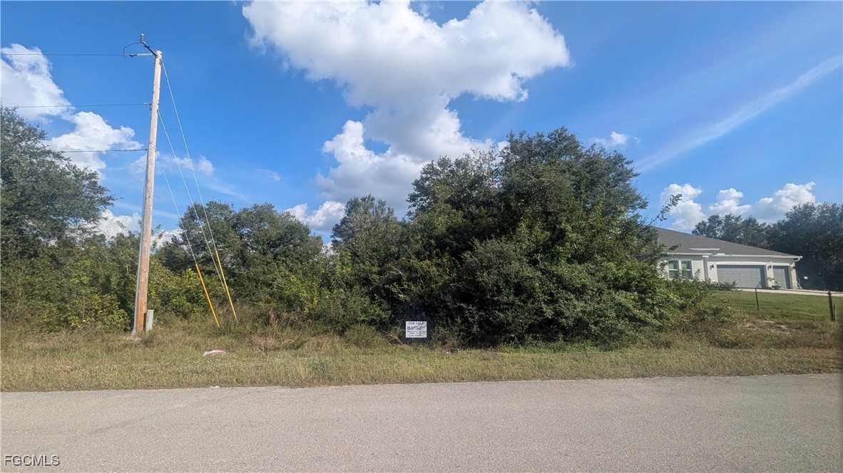 333 Ranier Avenue Lehigh Acres, FL 33974 - Photo 8 of 10 a view of a yard