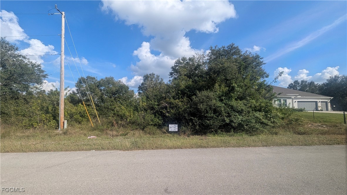 333 Ranier Avenue Lehigh Acres, FL 33974 - Photo 9 of 10 a view of a yard and a house