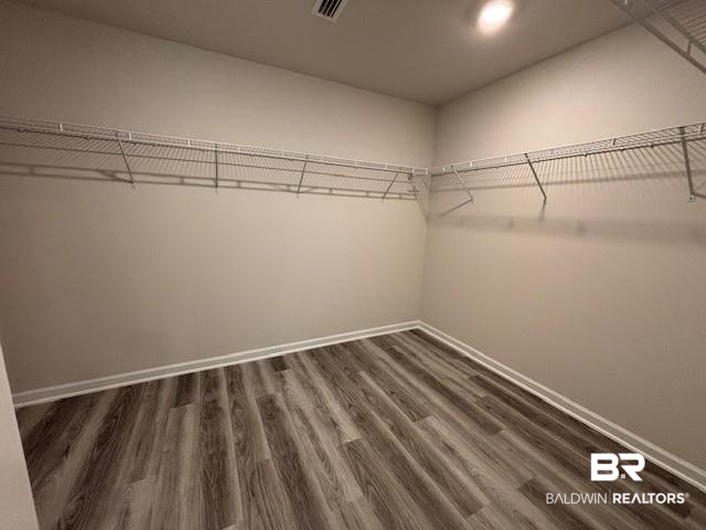 22215 Aleutian Avenue Foley, AL 36535 - Photo 10 of 34 Spacious closet with dark hardwood / wood-style flooring