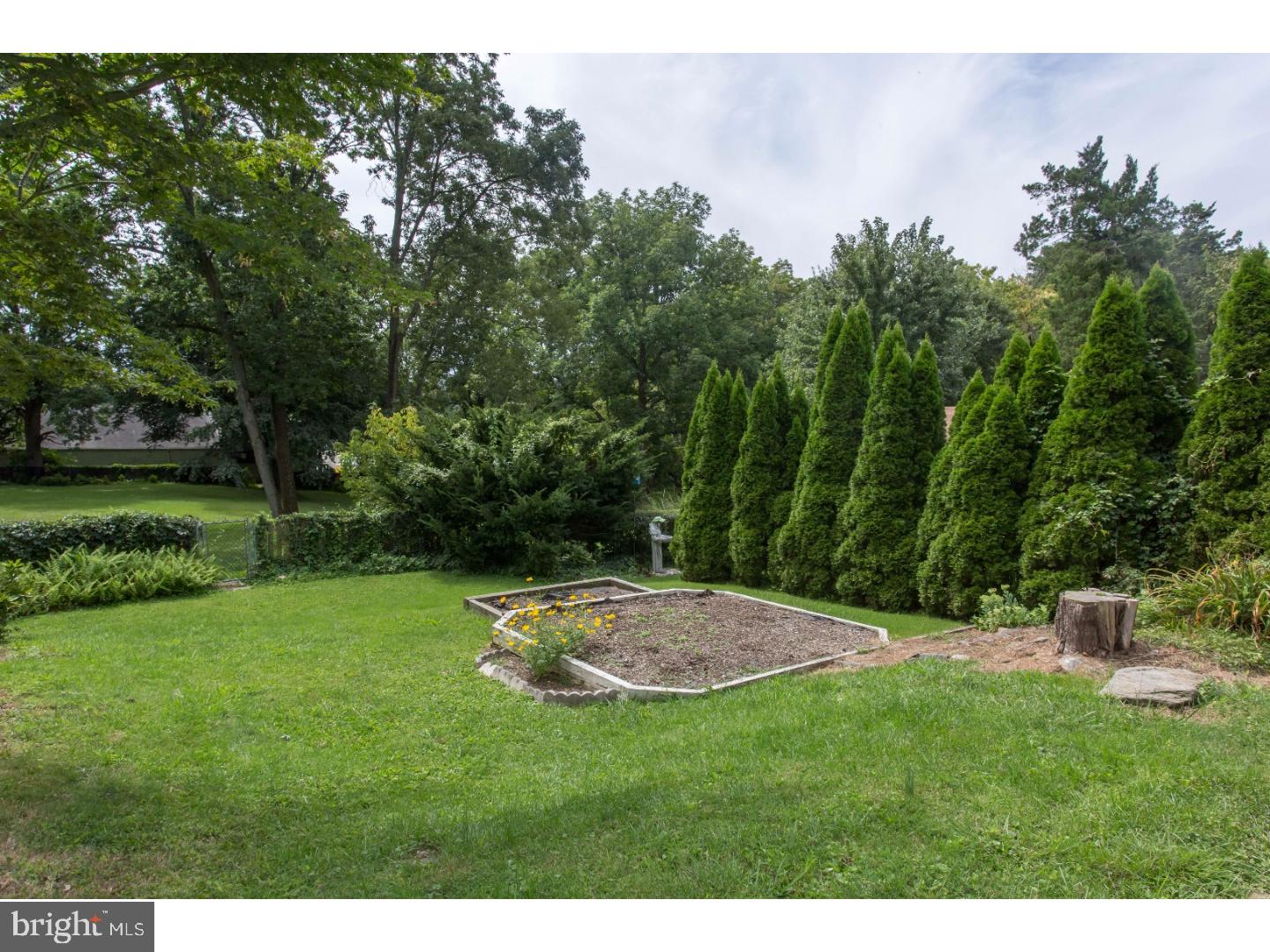 1238 Manor Road Havertown, PA 19083 - Photo 22 of 25