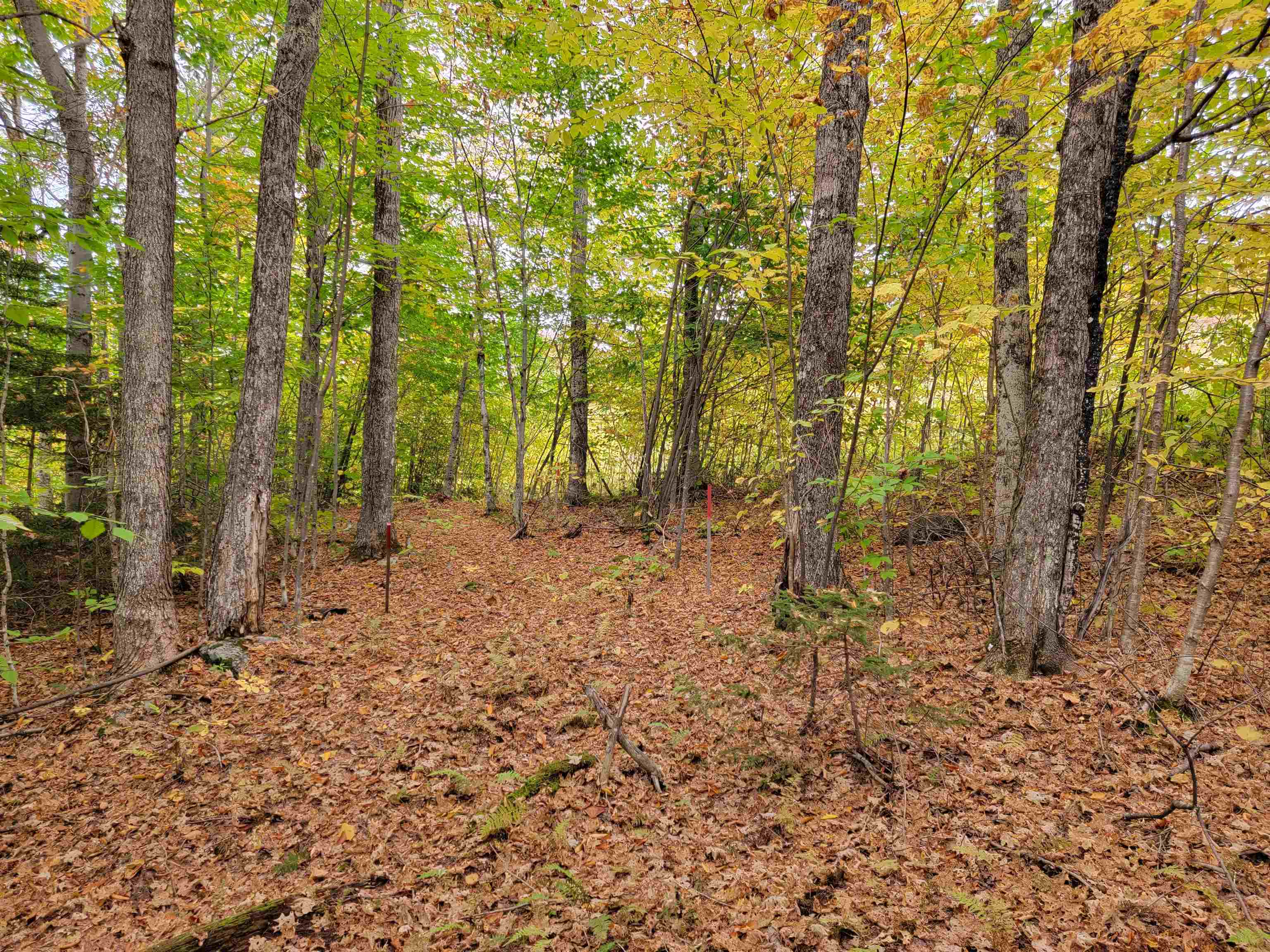 812 Cider Mountain Road, Unit 1 Warren, VT 05674 - Photo 3 of 13