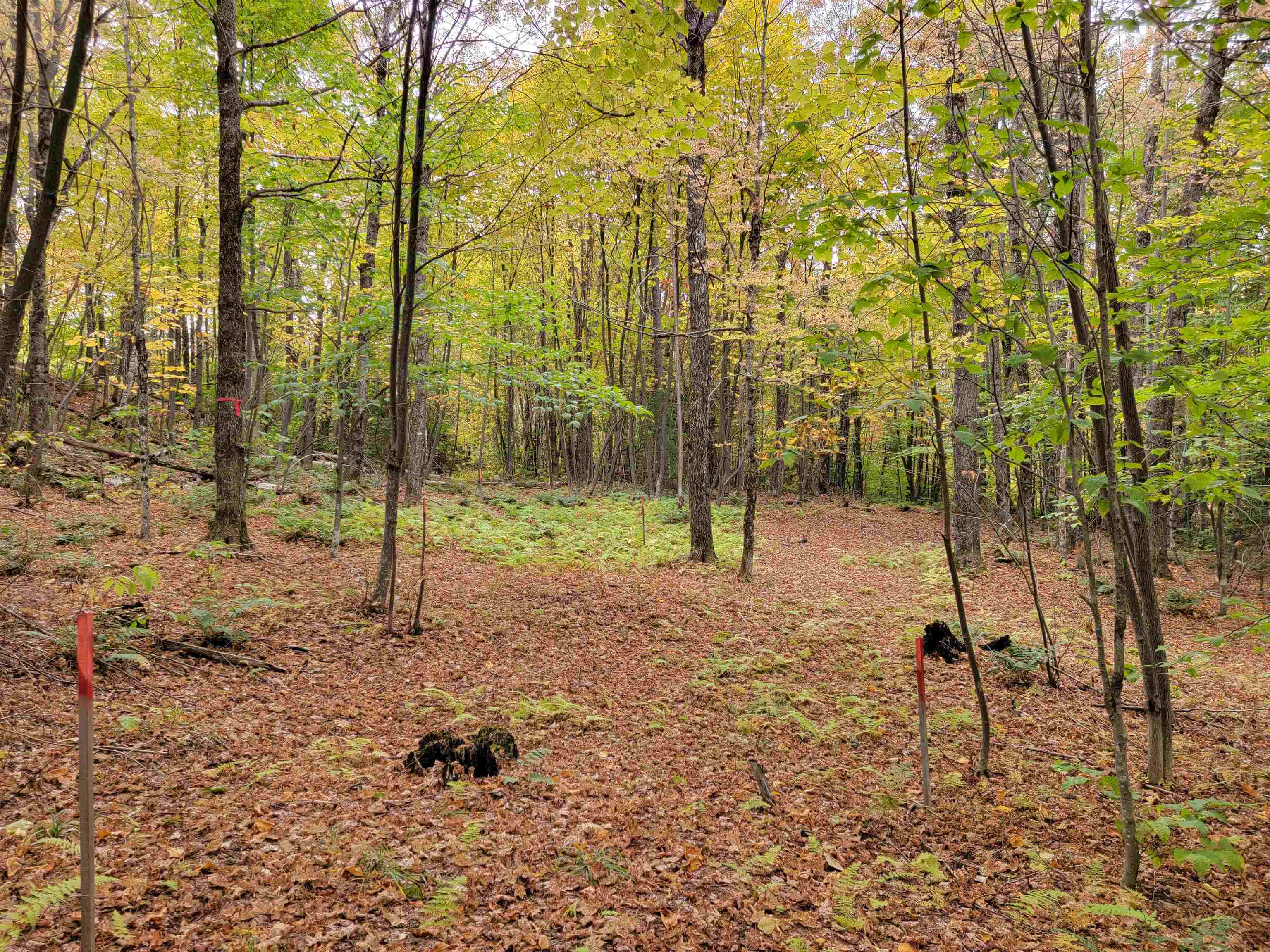 812 Cider Mountain Road, Unit 1 Warren, VT 05674 - Photo 4 of 13