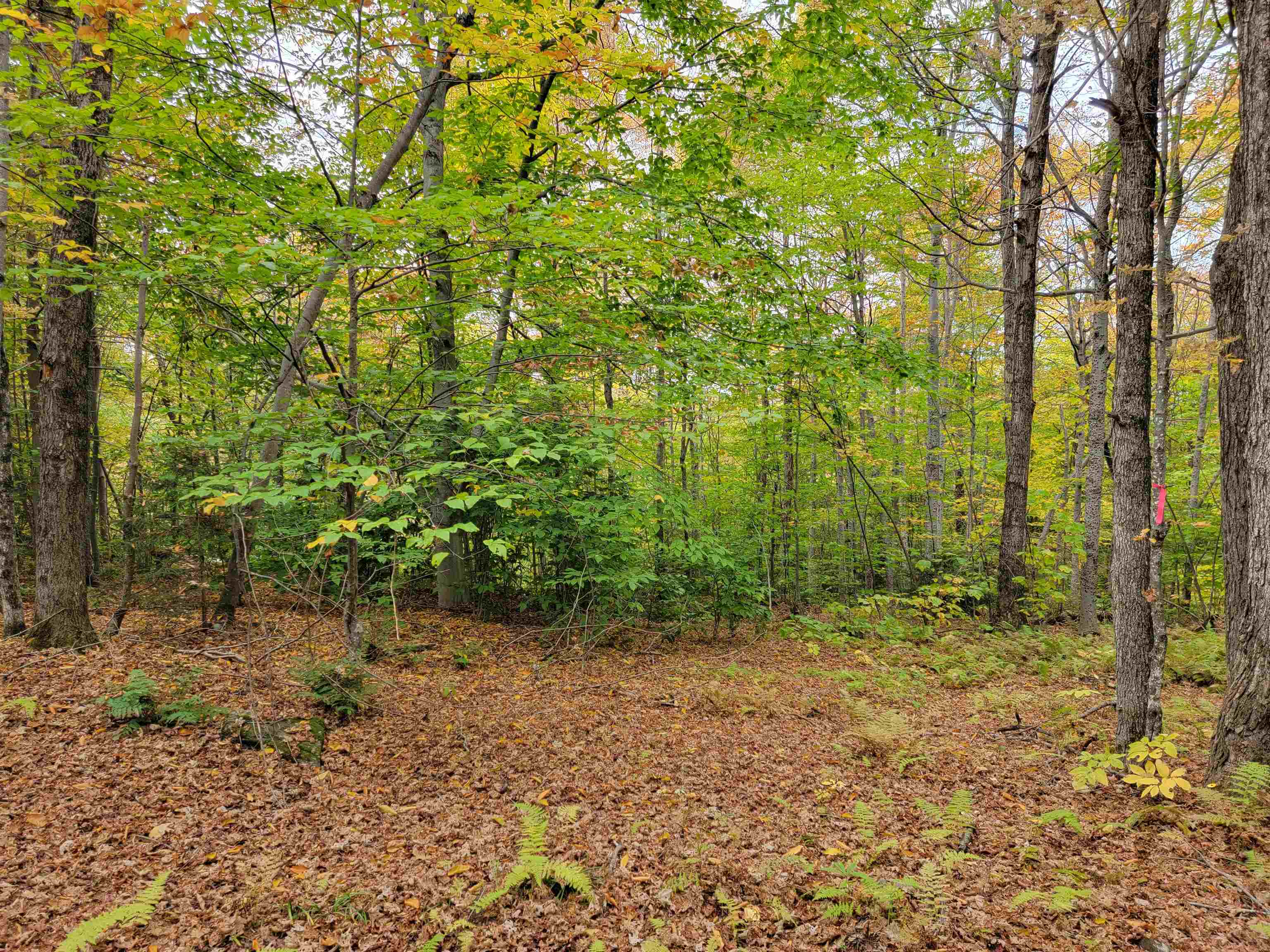 812 Cider Mountain Road, Unit 1 Warren, VT 05674 - Photo 5 of 13