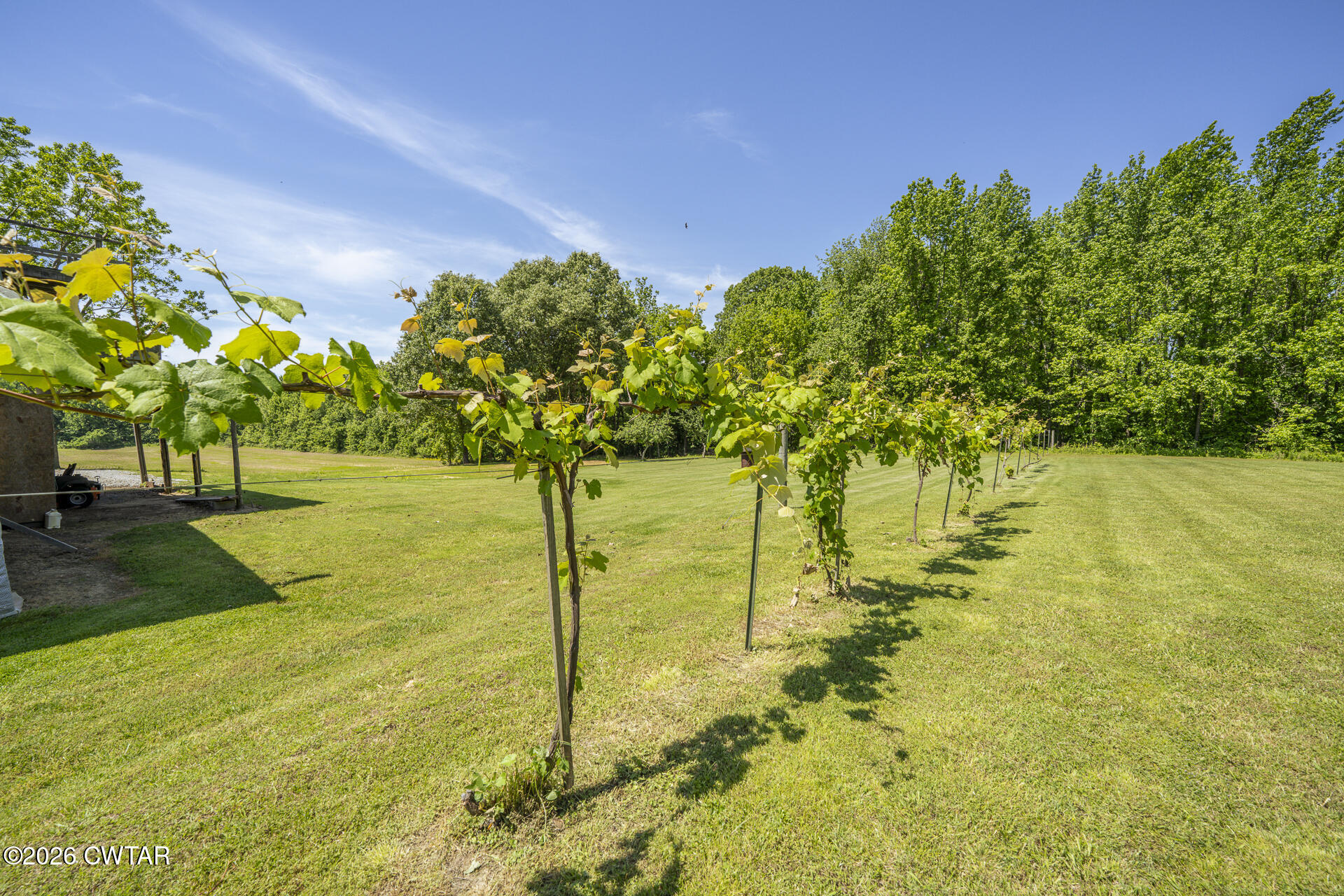 61 Con Pennington Road Kenton, TN 38233 - Photo 4 of 46 a view of a trees with a yard