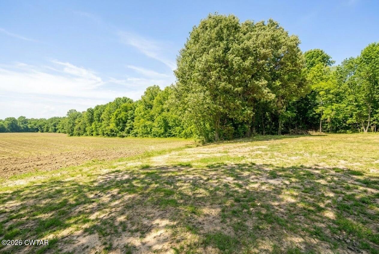61 Con Pennington Road Kenton, TN 38233 - Photo 6 of 46 a view of yard with swimming pool and green space