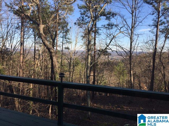 301 Laurel Springs Road Anniston, AL 36207 - Photo 49 of 50
