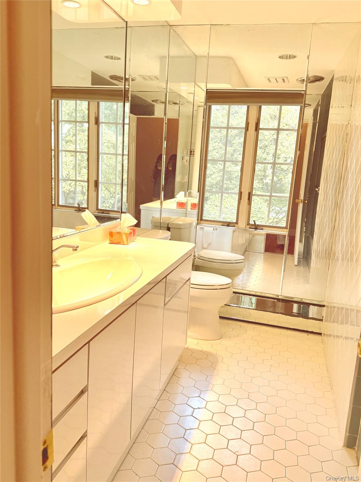 30 Dogwood Road Albertson, NY 11507 - Photo 20 of 20