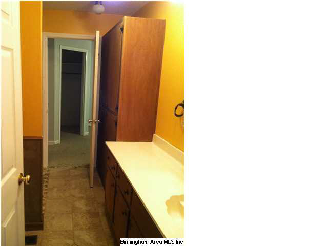 338 Miracle Hills Road Springville, AL 35146 - Photo 18 of 30 Gallery Image 18