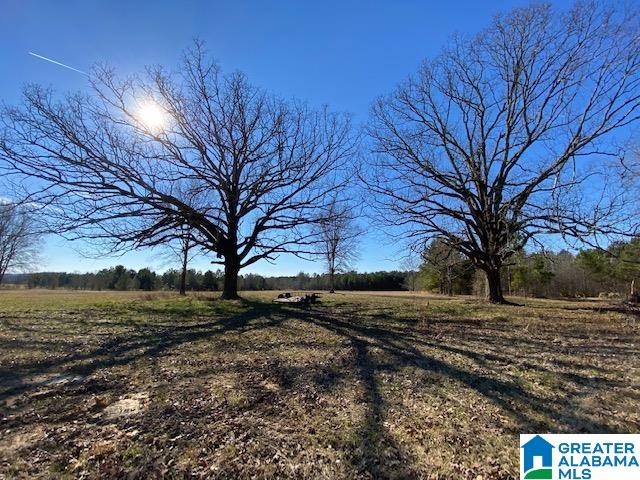 Stolle Farm Road, Unit 13 Springville, AL 35146 - Photo 2 of 10
