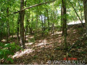 Lot #18 Round Mountain Road, Unit 18 Brevard, NC 28712 - Photo 3 of 5 a view of forest