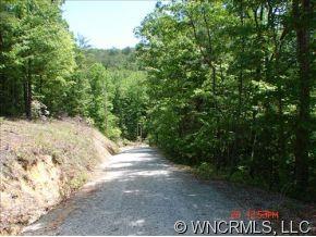 Lot #18 Round Mountain Road, Unit 18 Brevard, NC 28712 - Photo 5 of 5 a view of a yard with plants and trees
