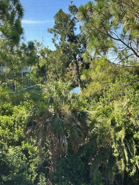 9810 Indian Key Trail, Unit 85 Seminole, FL 33776 - Photo 37 of 41