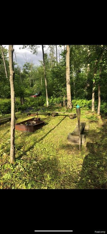 0 North 11 Mile Rd Mount Pinconning, MI 48650 - Photo 4 of 13