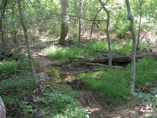 1028 Bahama Road Bahama, NC 27503 - Photo 5 of 10 Other