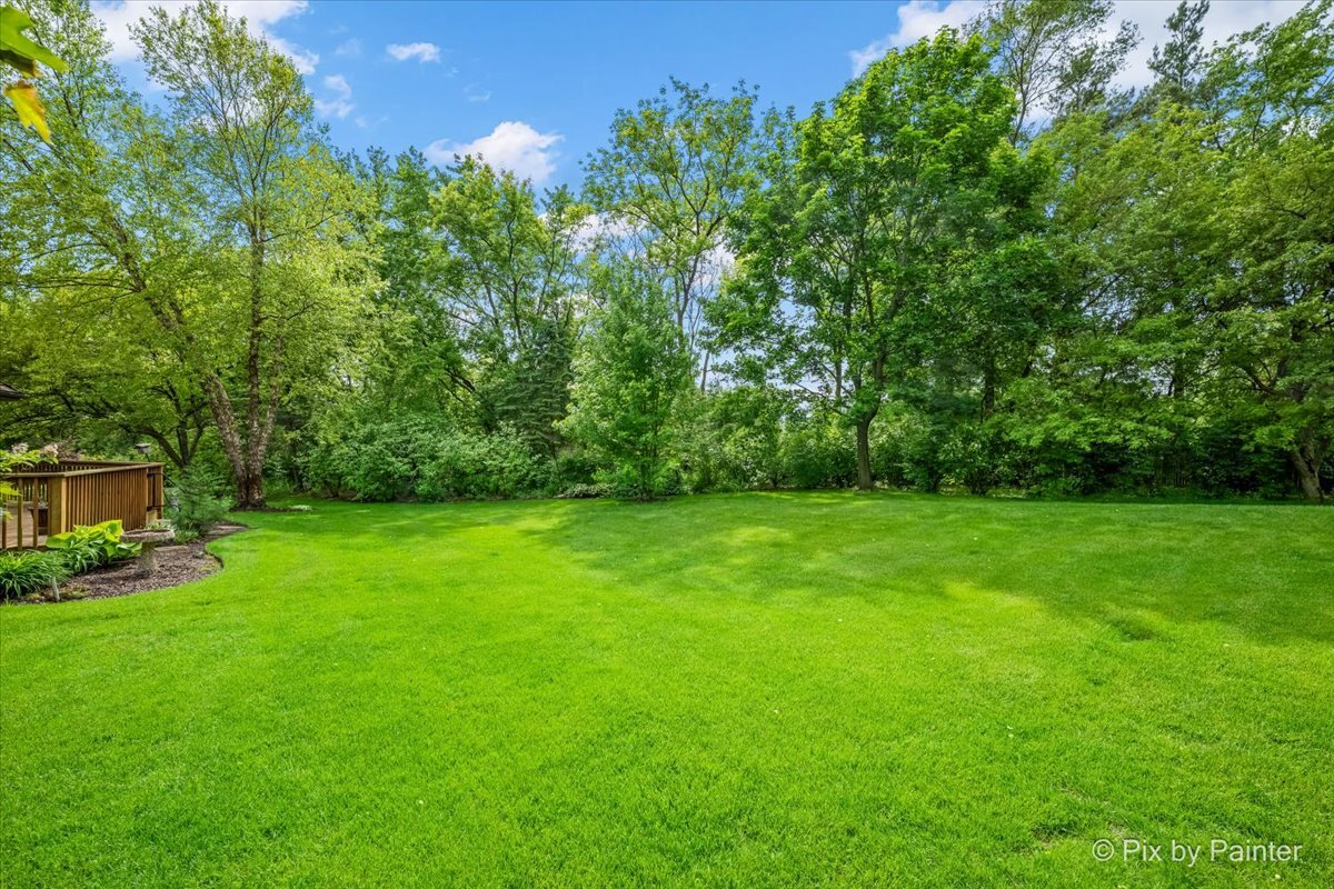 20 Lochbrook Lane Inverness, IL 60010 - Photo 25 of 27 a view of a yard with a trees