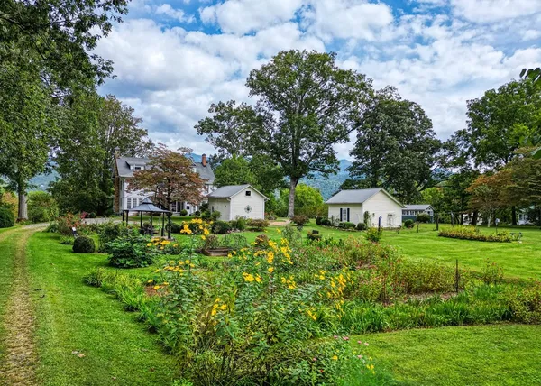 a view of a livingroom with furniture wooden floor and windows