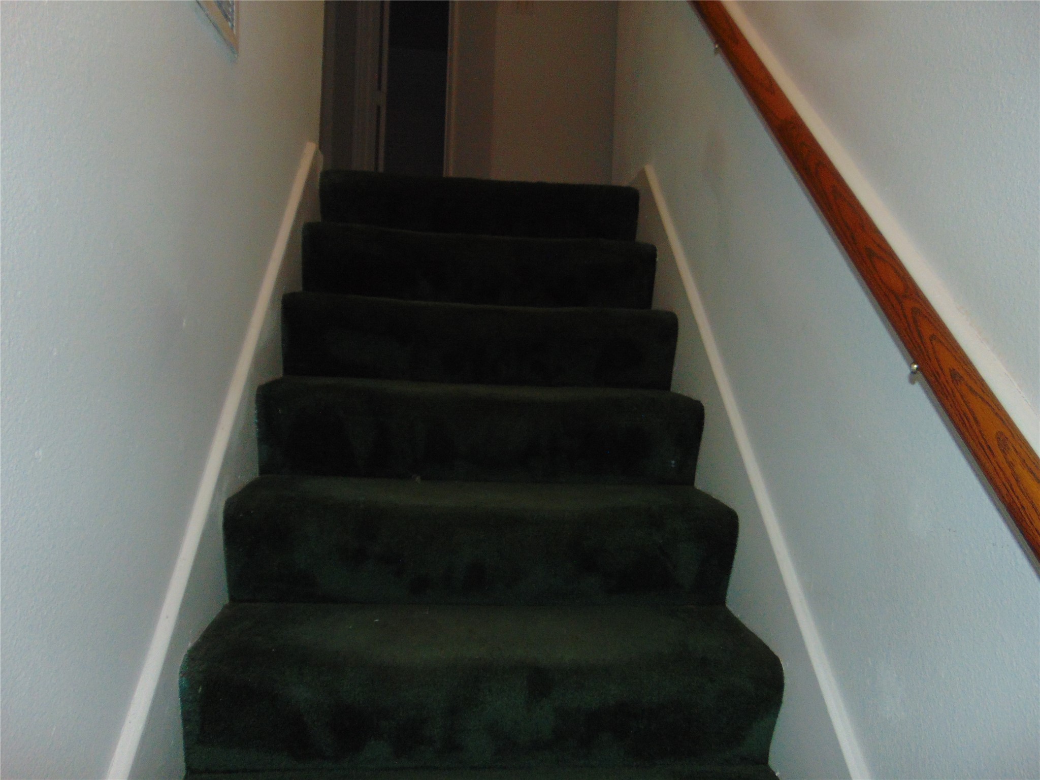 8603 Rustling Leaves Drive Houston, TX 77083 - Photo 16 of 46