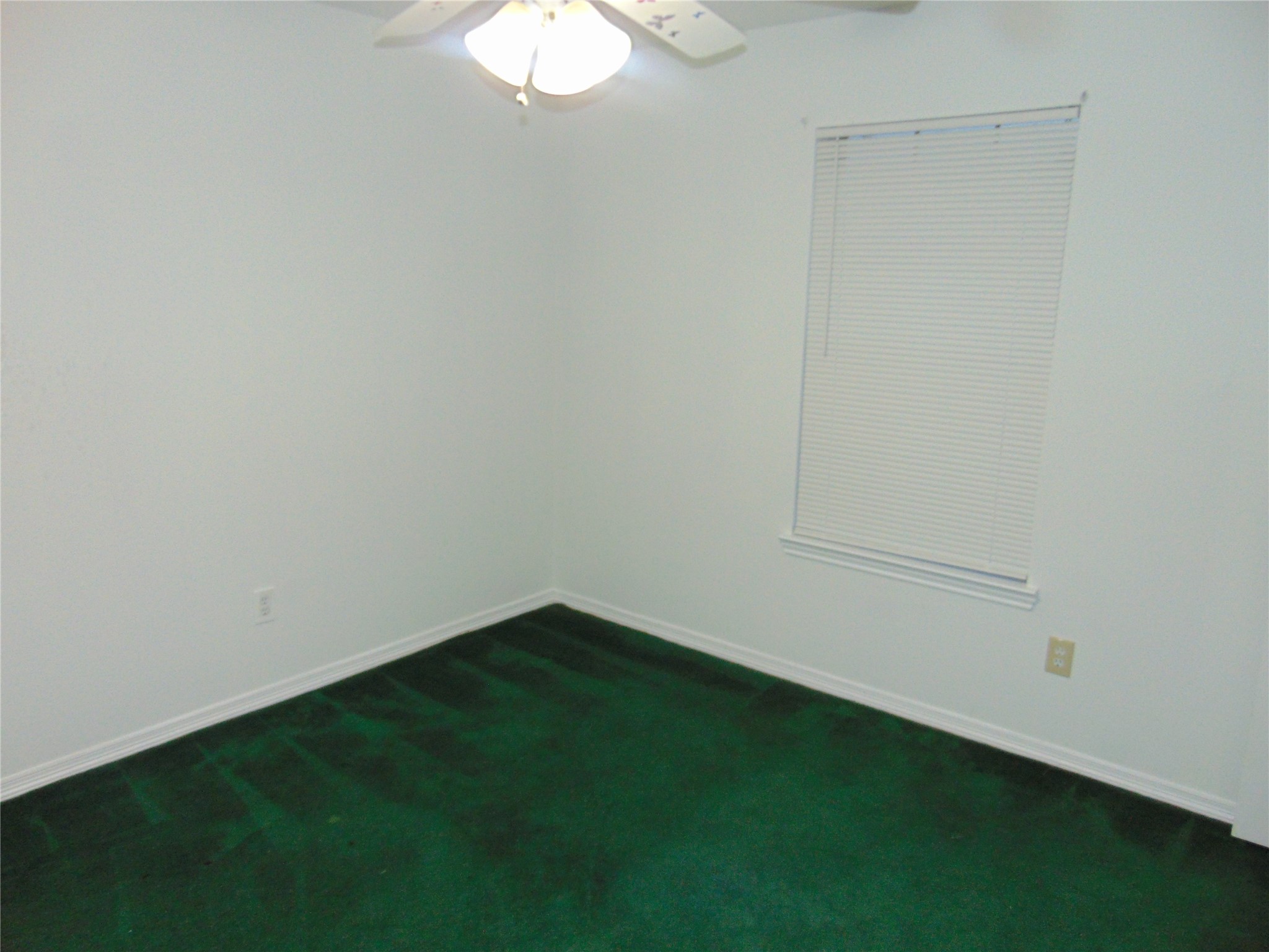 8603 Rustling Leaves Drive Houston, TX 77083 - Photo 21 of 46