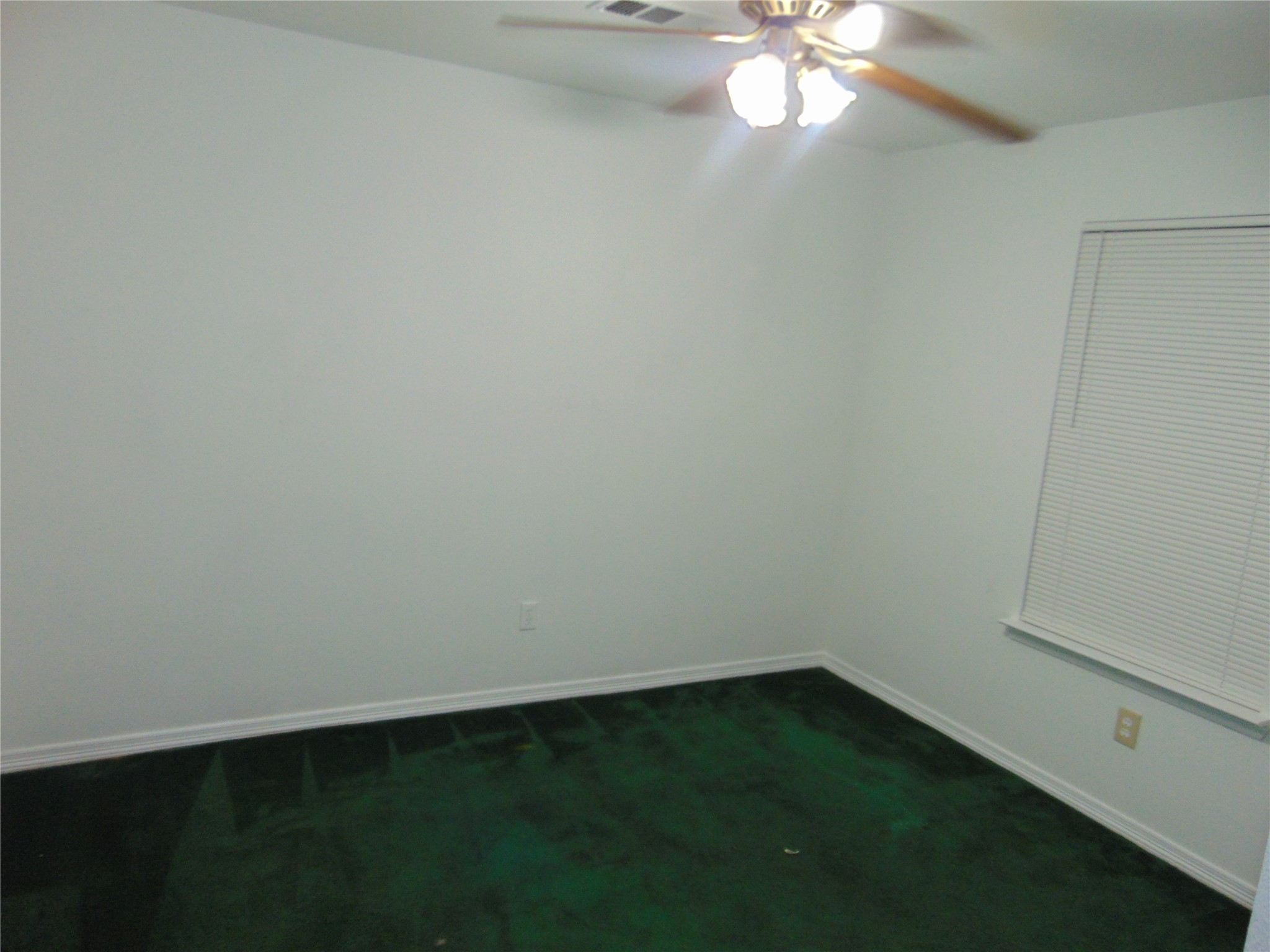 8603 Rustling Leaves Drive Houston, TX 77083 - Photo 23 of 46