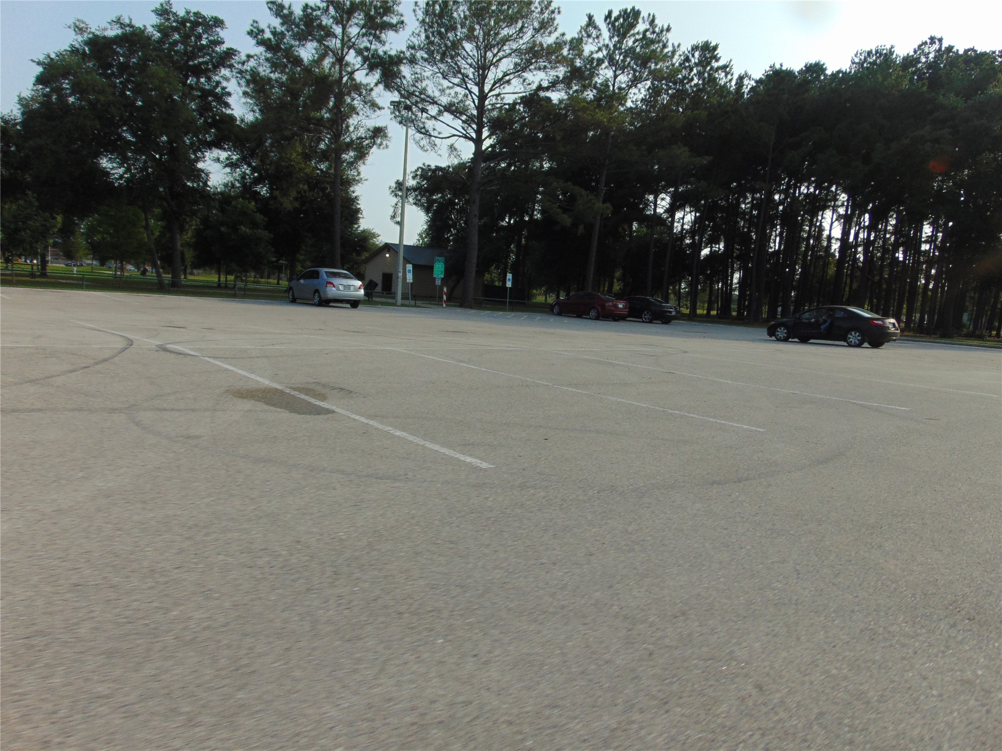 8603 Rustling Leaves Drive Houston, TX 77083 - Photo 41 of 46