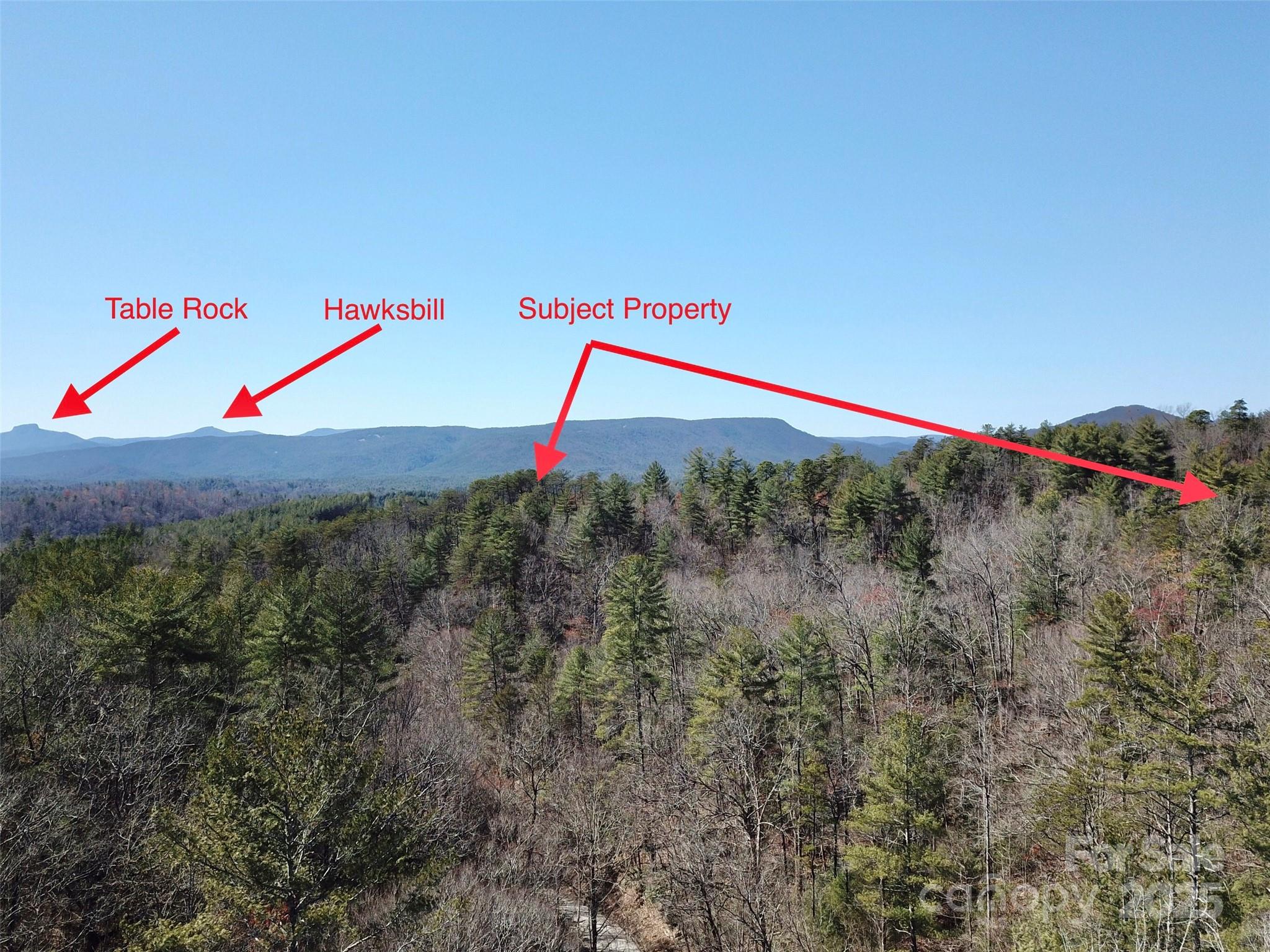 a view of a dry room with a small yard and plants