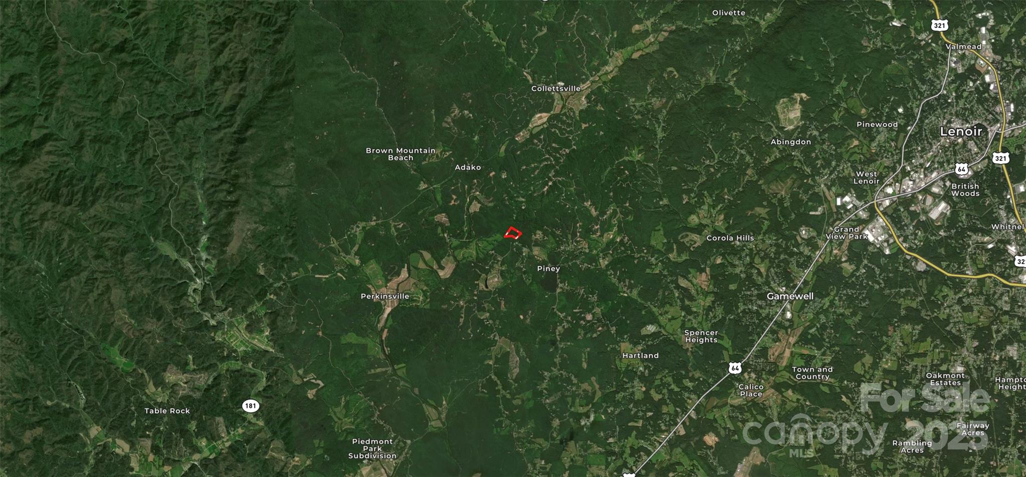 2500 Playmore Beach Road Lenoir, NC 28645 - Photo 17 of 38 a view of a lush green forest