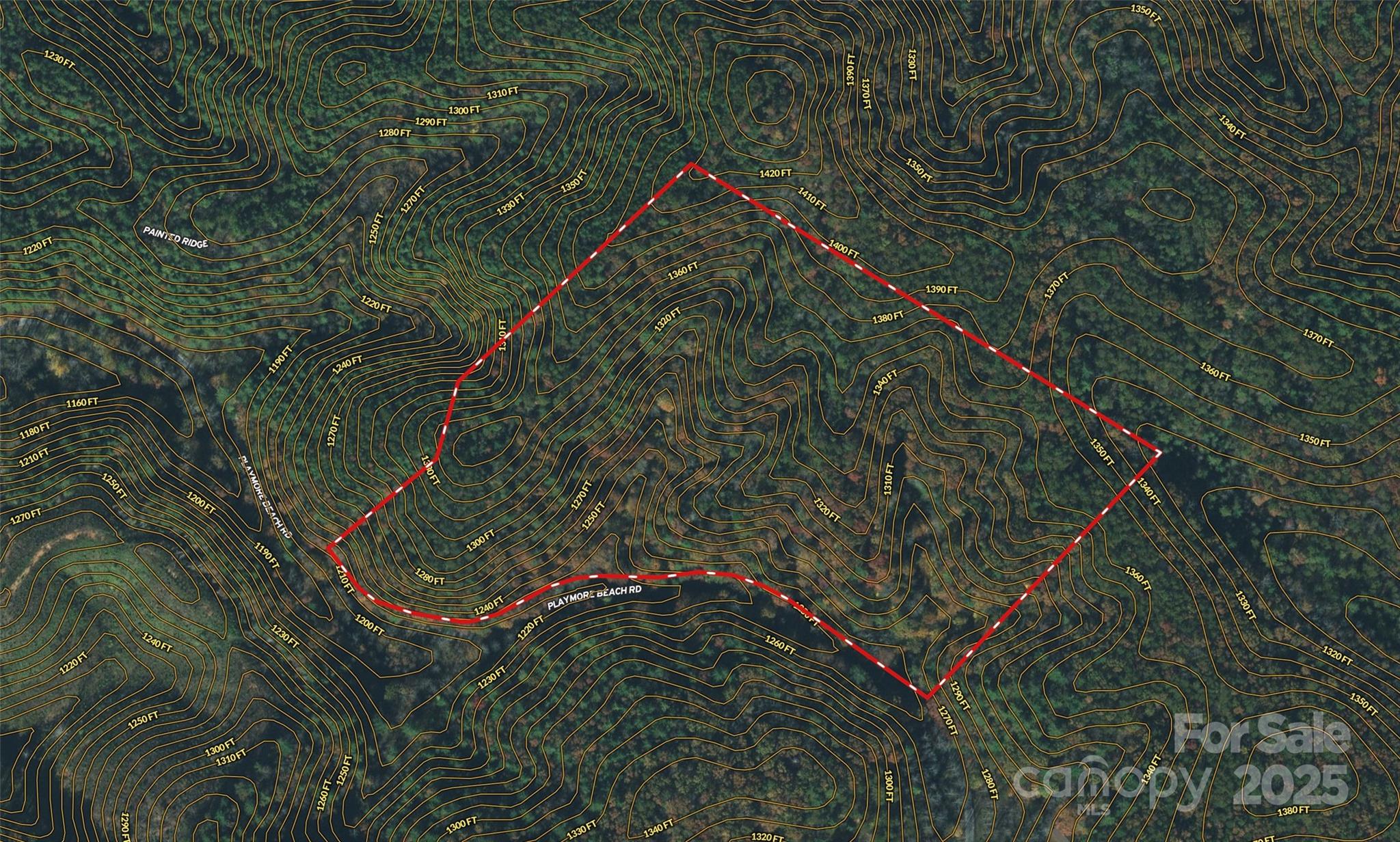 2500 Playmore Beach Road Lenoir, NC 28645 - Photo 18 of 38 a view of a yard with a small yard and potted plants