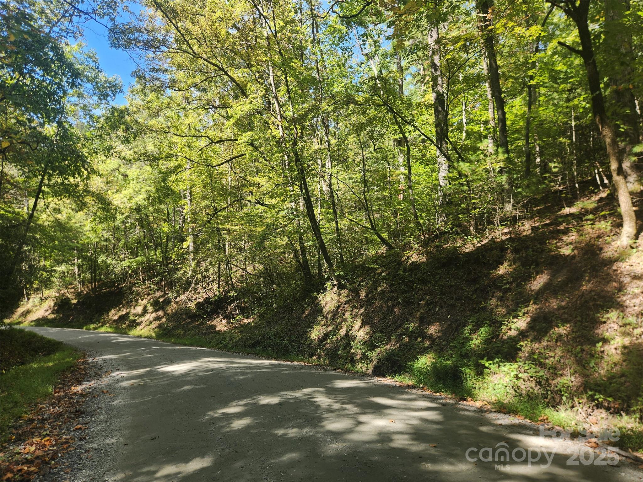 2500 Playmore Beach Road Lenoir, NC 28645 - Photo 2 of 38 a view of outdoor space and yard