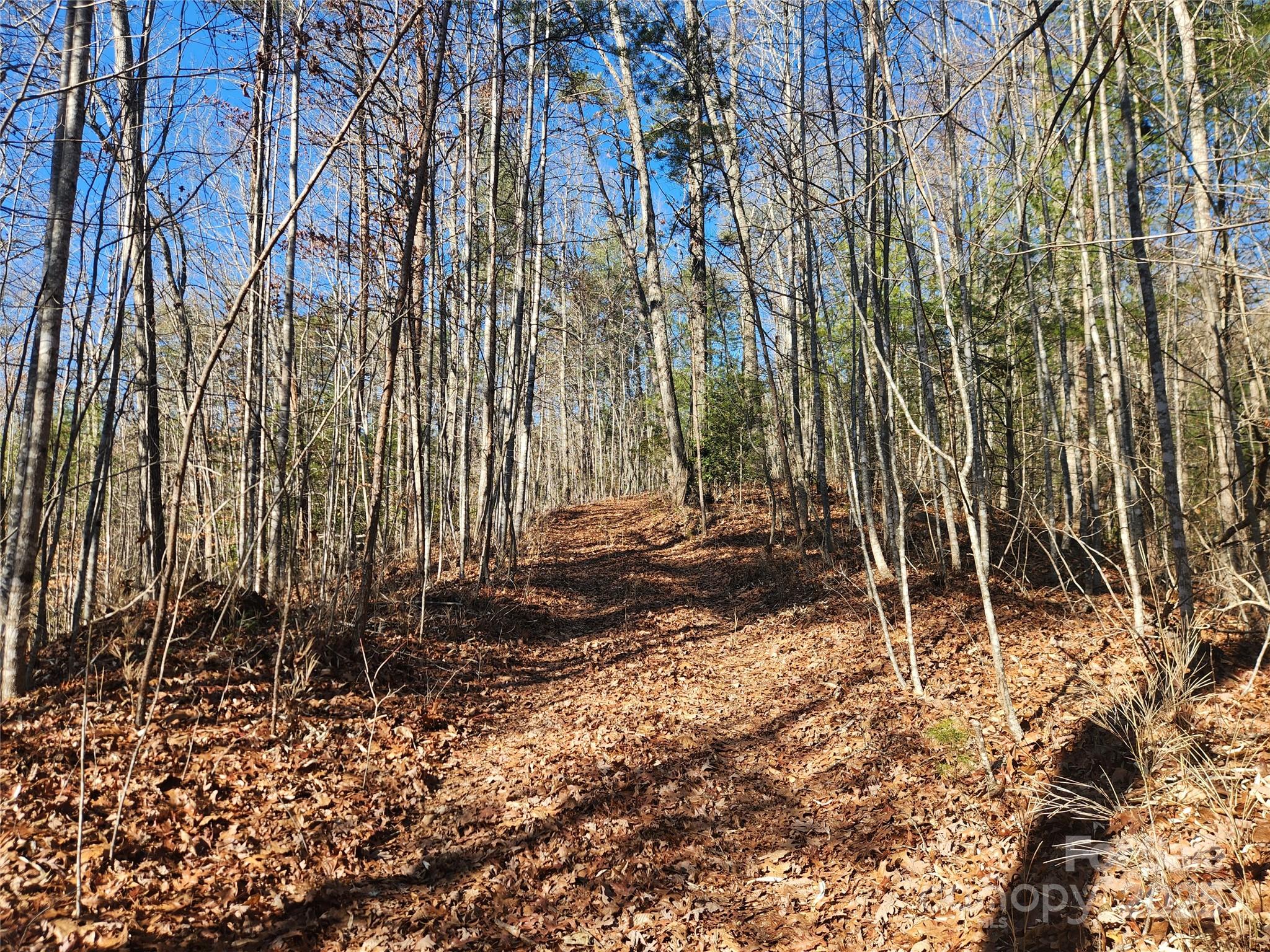 2500 Playmore Beach Road Lenoir, NC 28645 - Photo 24 of 38 a backyard of a house with lots of green space