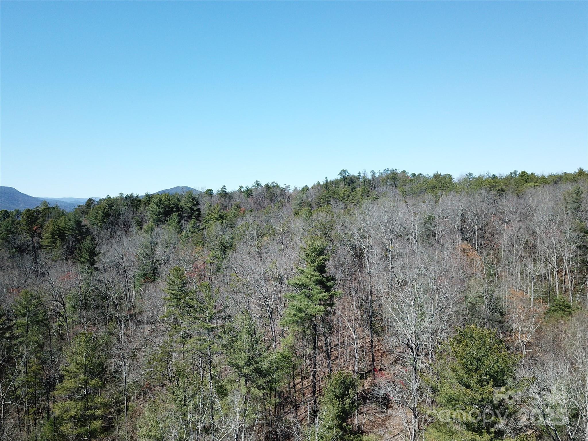 2500 Playmore Beach Road Lenoir, NC 28645 - Photo 27 of 38 a view of a bunch of trees in a field