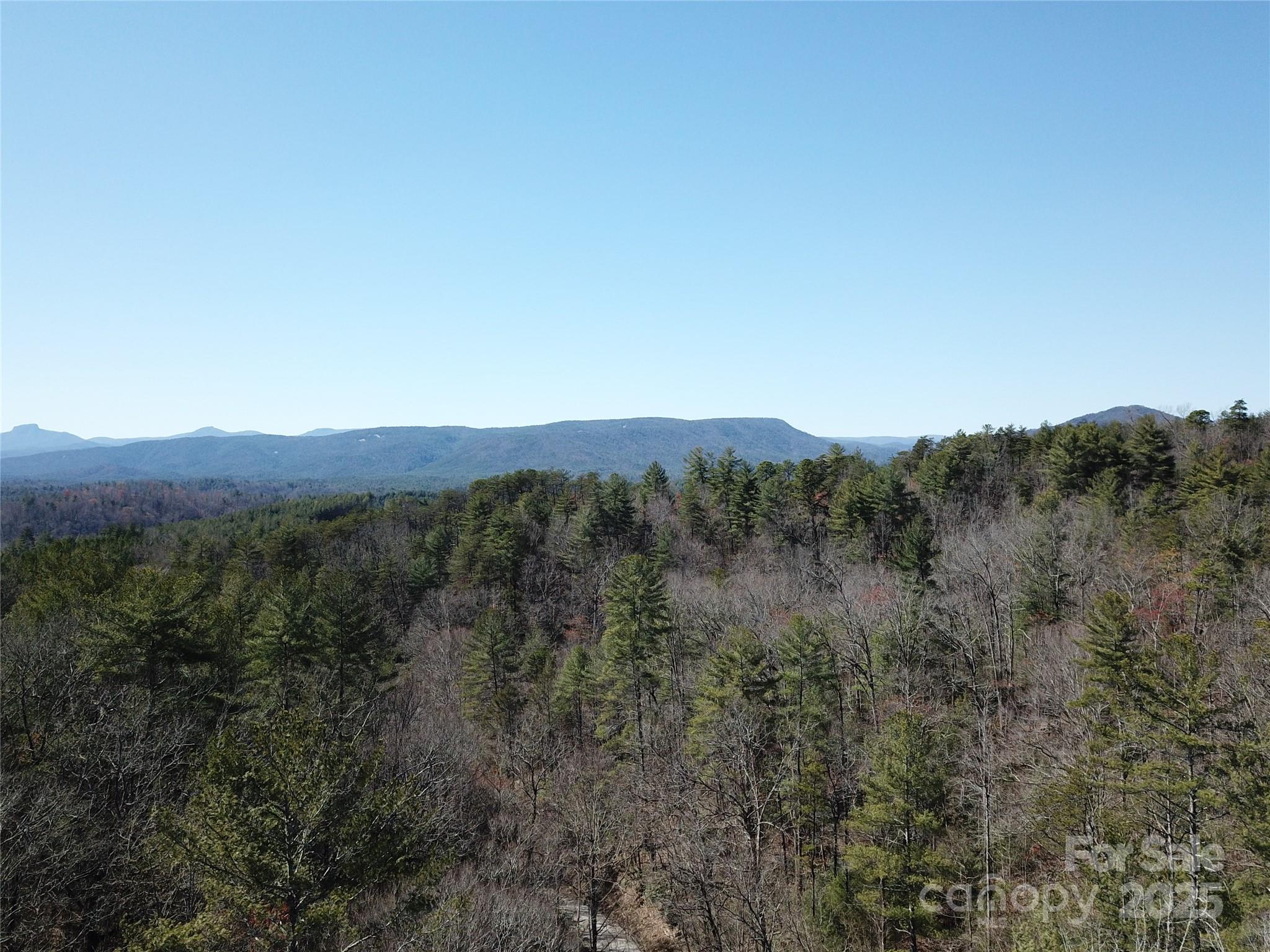 2500 Playmore Beach Road Lenoir, NC 28645 - Photo 28 of 38 a view of a city with lush green forest