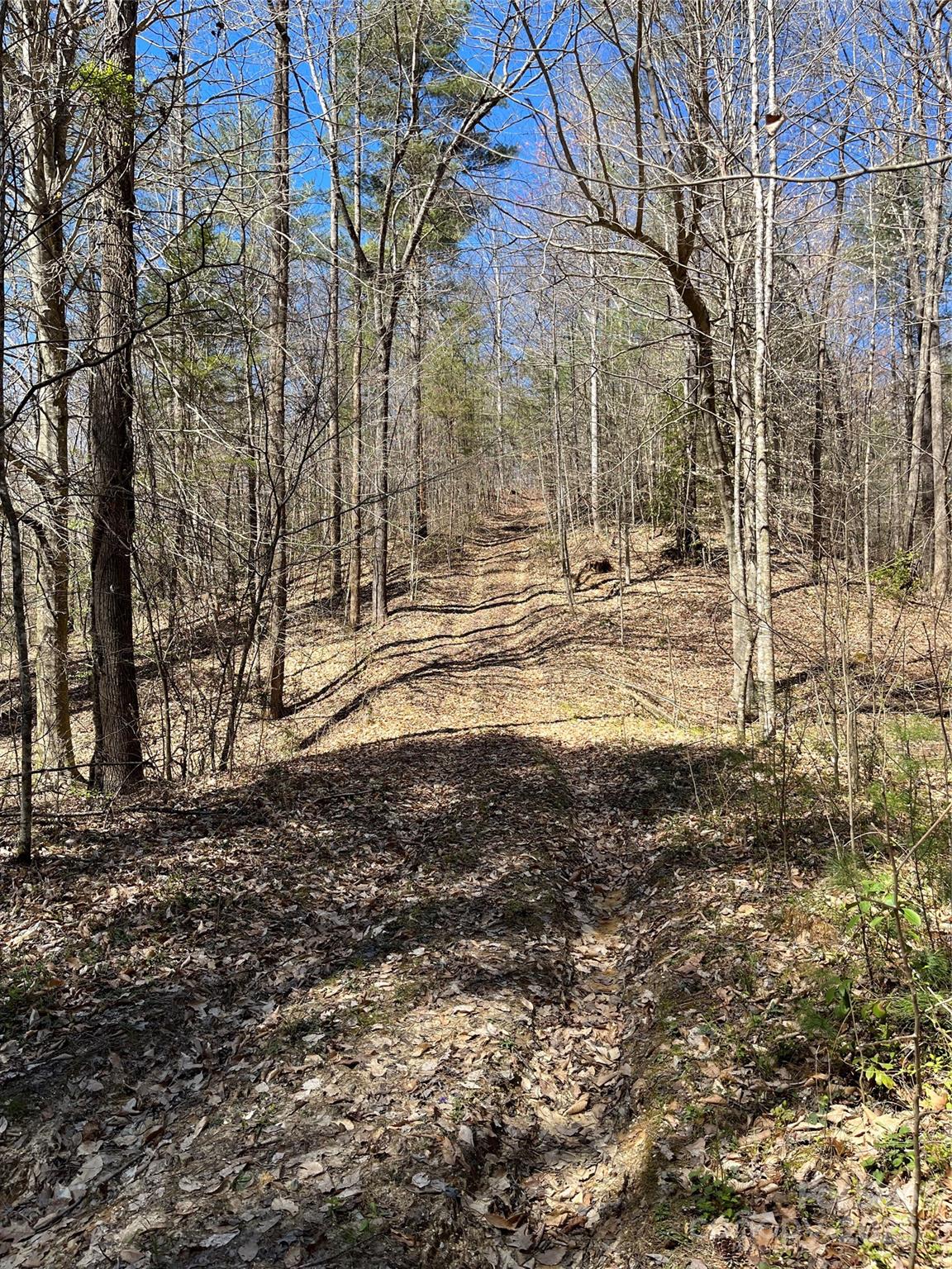 2500 Playmore Beach Road Lenoir, NC 28645 - Photo 29 of 38 a view of a yard with trees