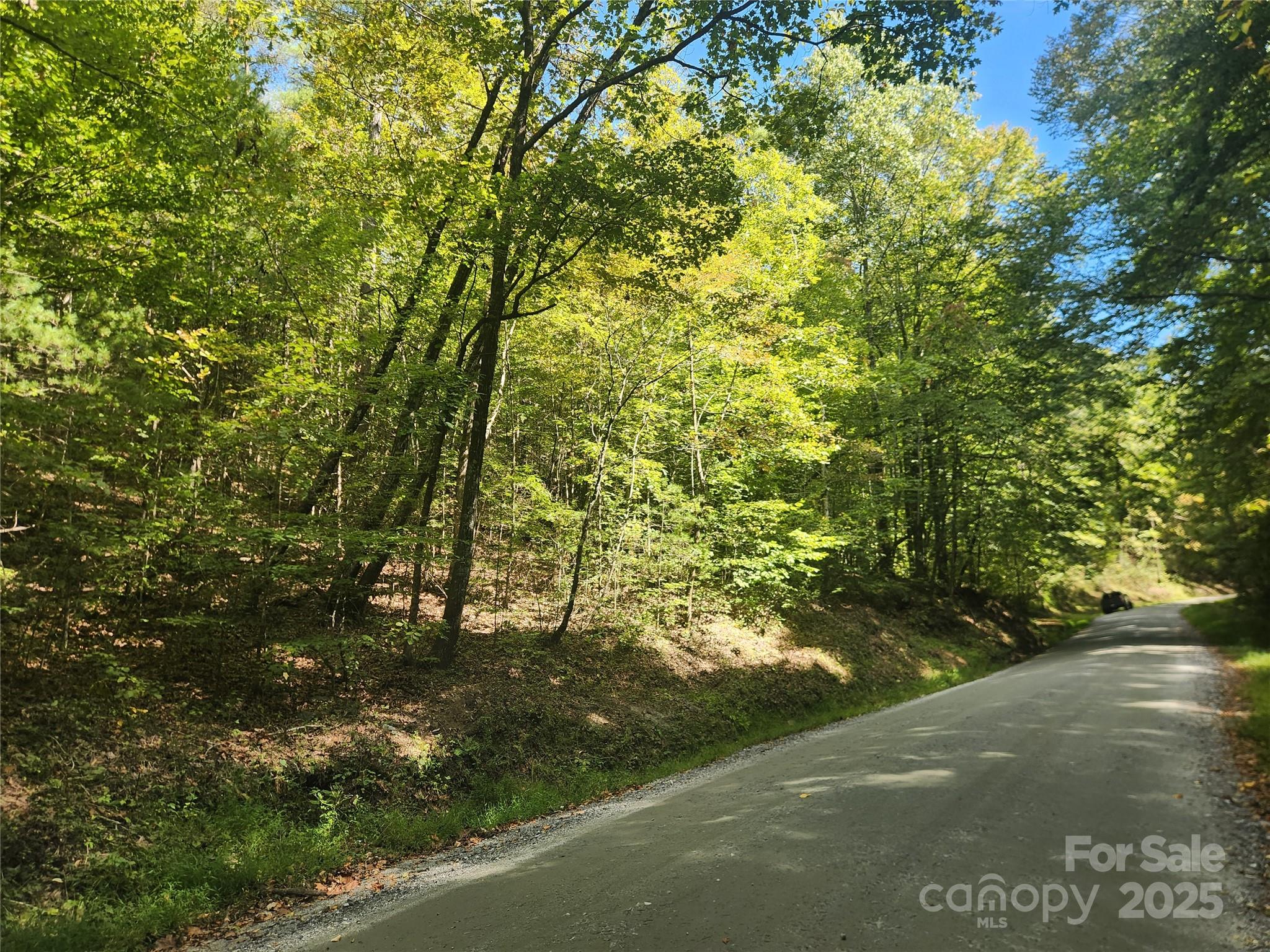 2500 Playmore Beach Road Lenoir, NC 28645 - Photo 3 of 38 a view of a street with a tree