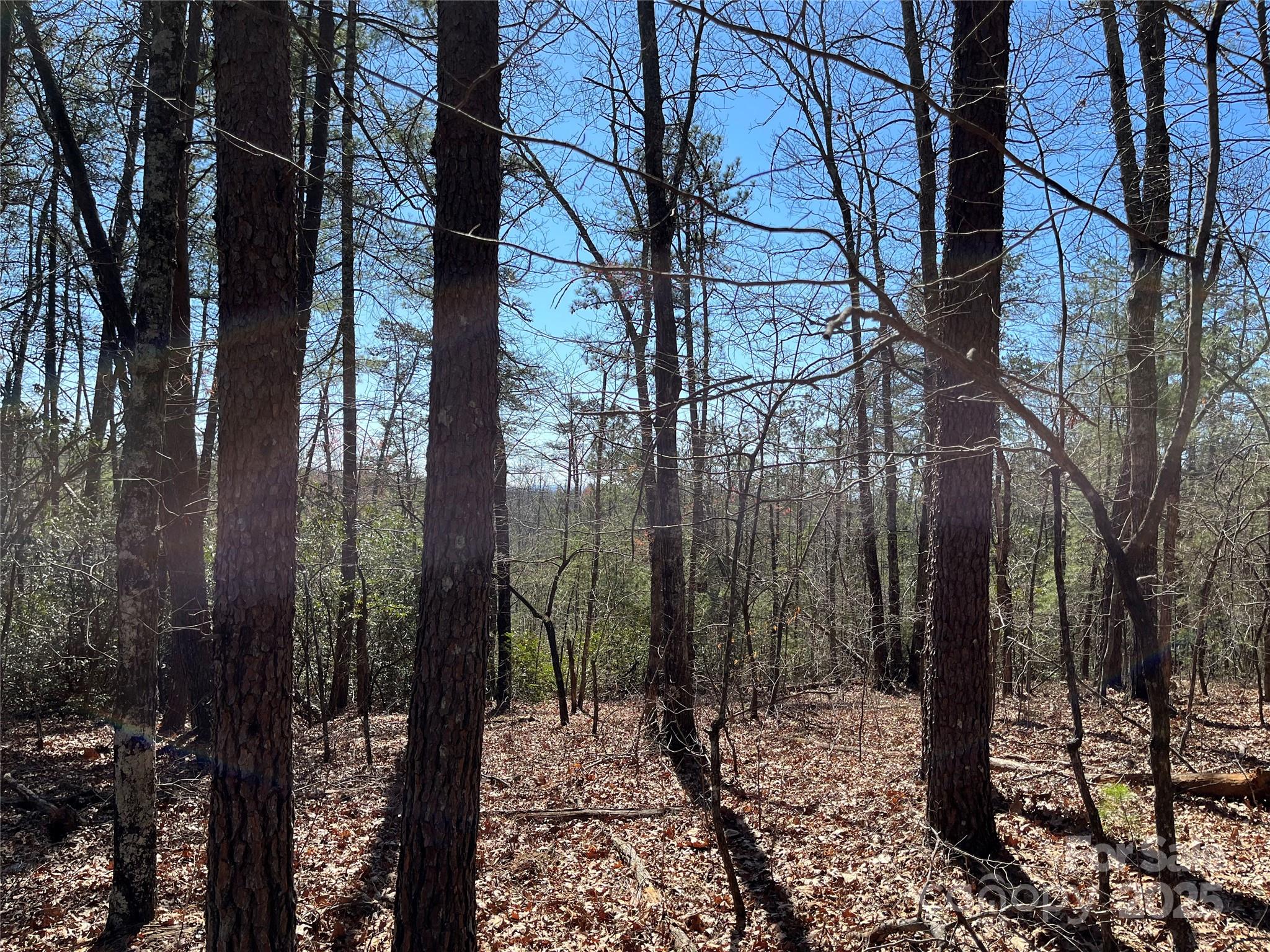 2500 Playmore Beach Road Lenoir, NC 28645 - Photo 33 of 38 a view of a forest