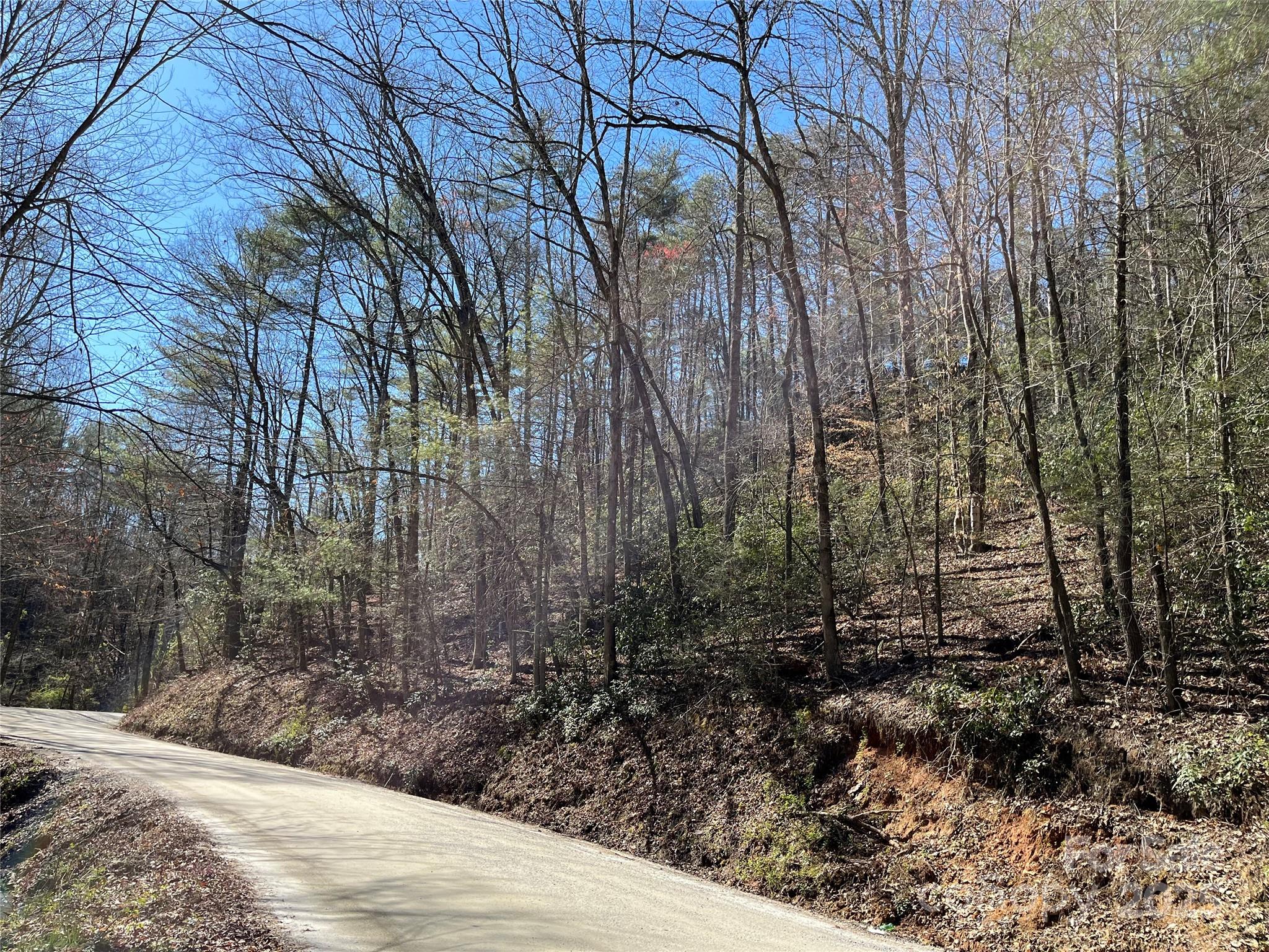 2500 Playmore Beach Road Lenoir, NC 28645 - Photo 34 of 38 a view of a yard with plants and trees