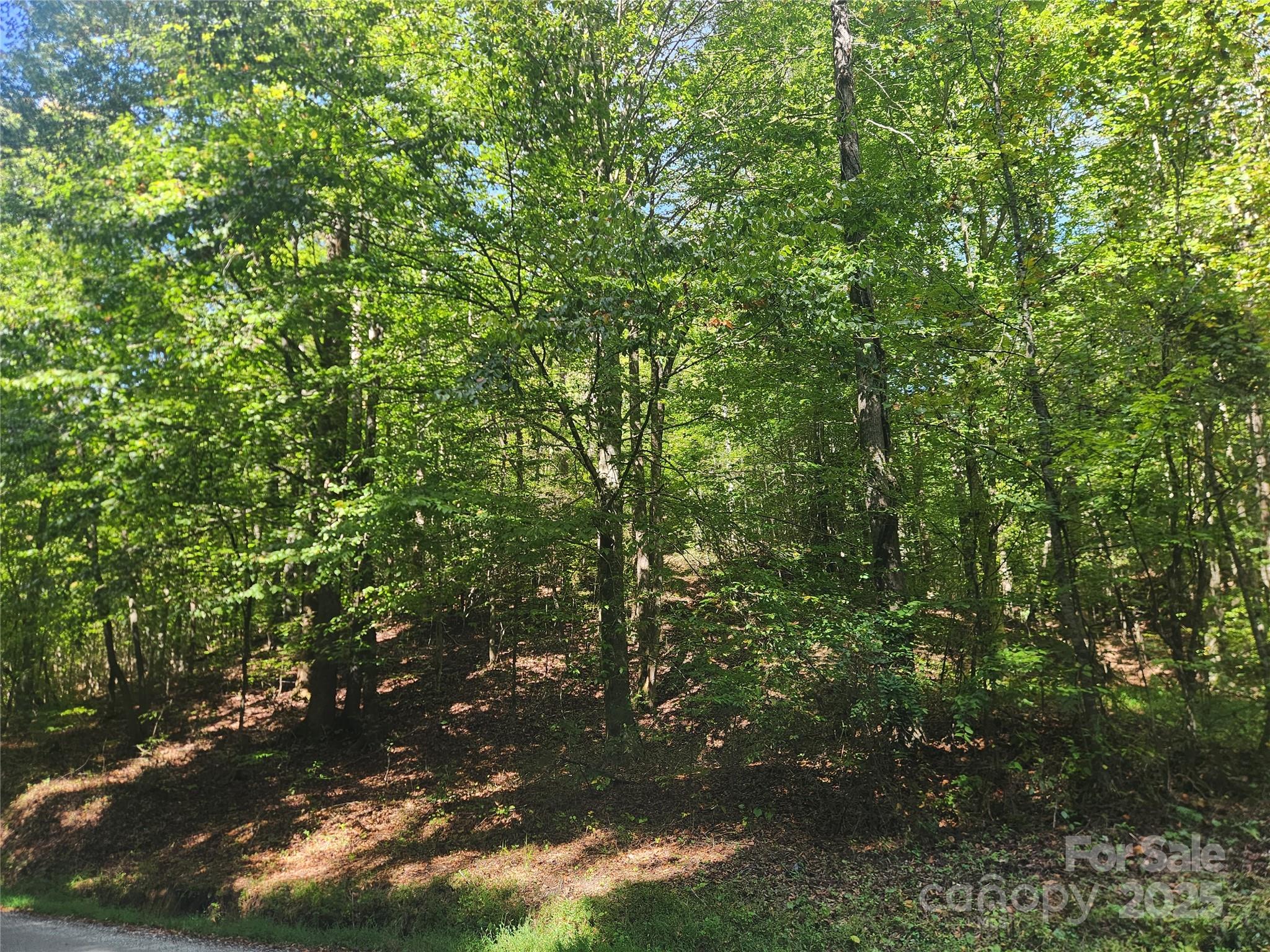 2500 Playmore Beach Road Lenoir, NC 28645 - Photo 36 of 38 a view of a tree