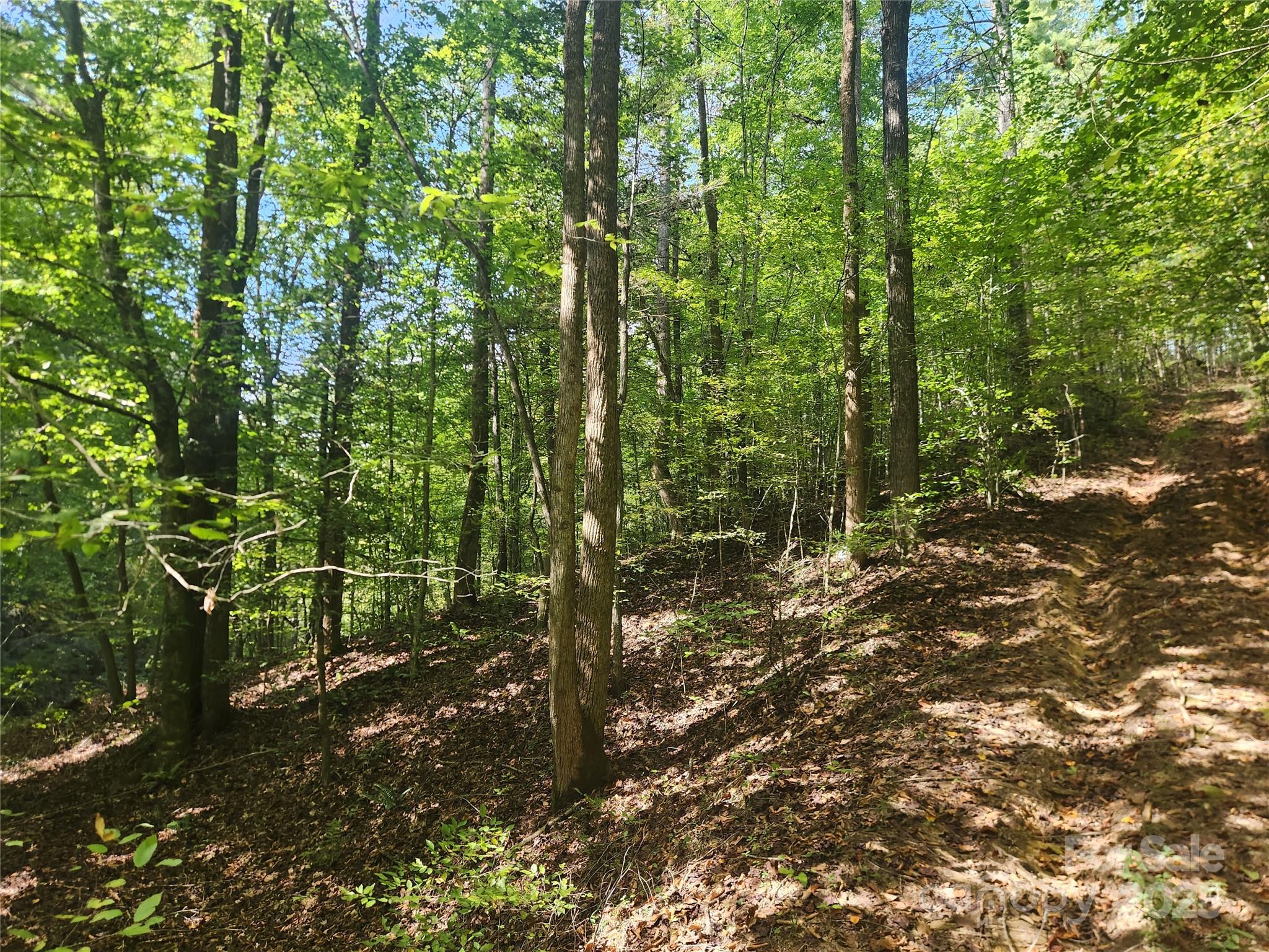 2500 Playmore Beach Road Lenoir, NC 28645 - Photo 38 of 38 a view of a forest