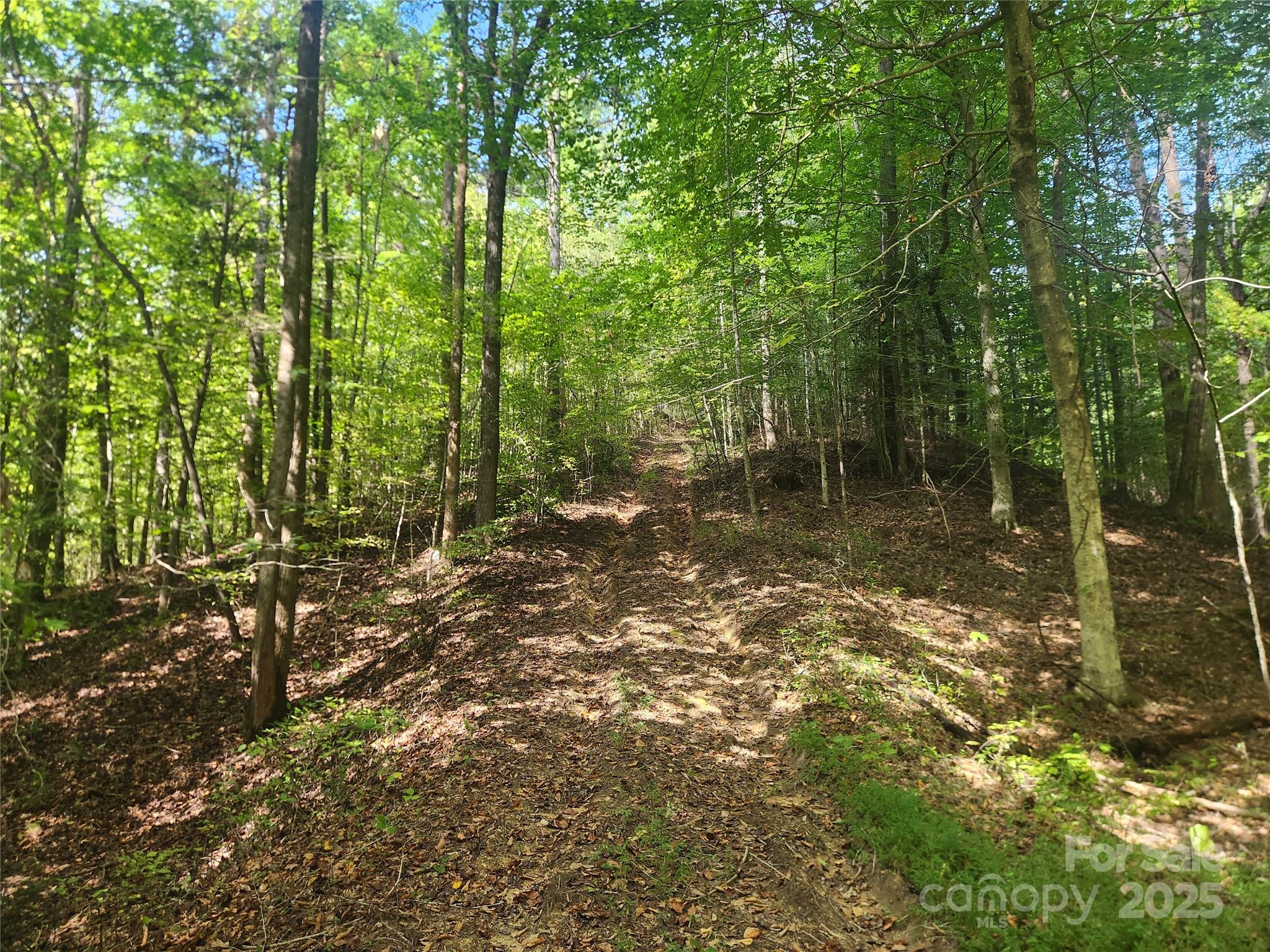 2500 Playmore Beach Road Lenoir, NC 28645 - Photo 4 of 38 a backyard of a house with lots of green space