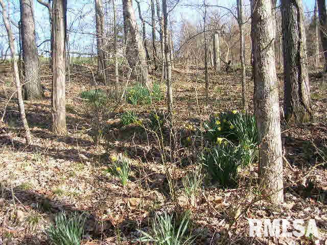 255 Meadow Ridge Loop Buncombe, IL 62912 - Photo 7 of 29