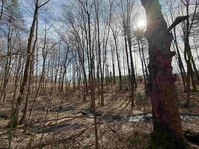 $4,000,000 | 15 Wind Hill Road, Manchester, VT 05255