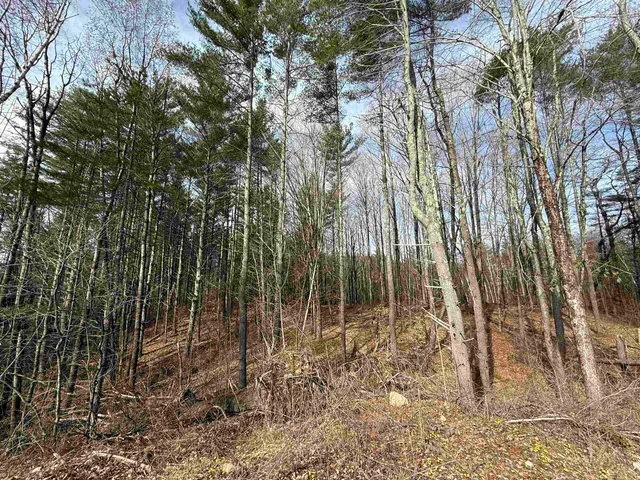 $4,000,000 | 15 Wind Hill Road, Manchester, VT 05255