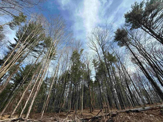 $4,000,000 | 15 Wind Hill Road, Manchester, VT 05255