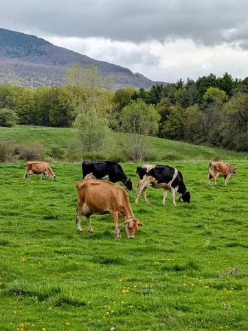 $4,000,000 | 15 Wind Hill Road, Manchester, VT 05255