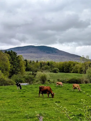 $4,000,000 | 15 Wind Hill Road, Manchester, VT 05255