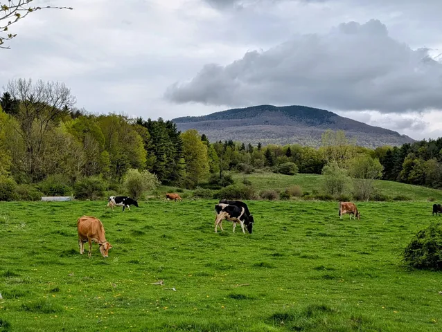 $4,000,000 | 15 Wind Hill Road, Manchester, VT 05255