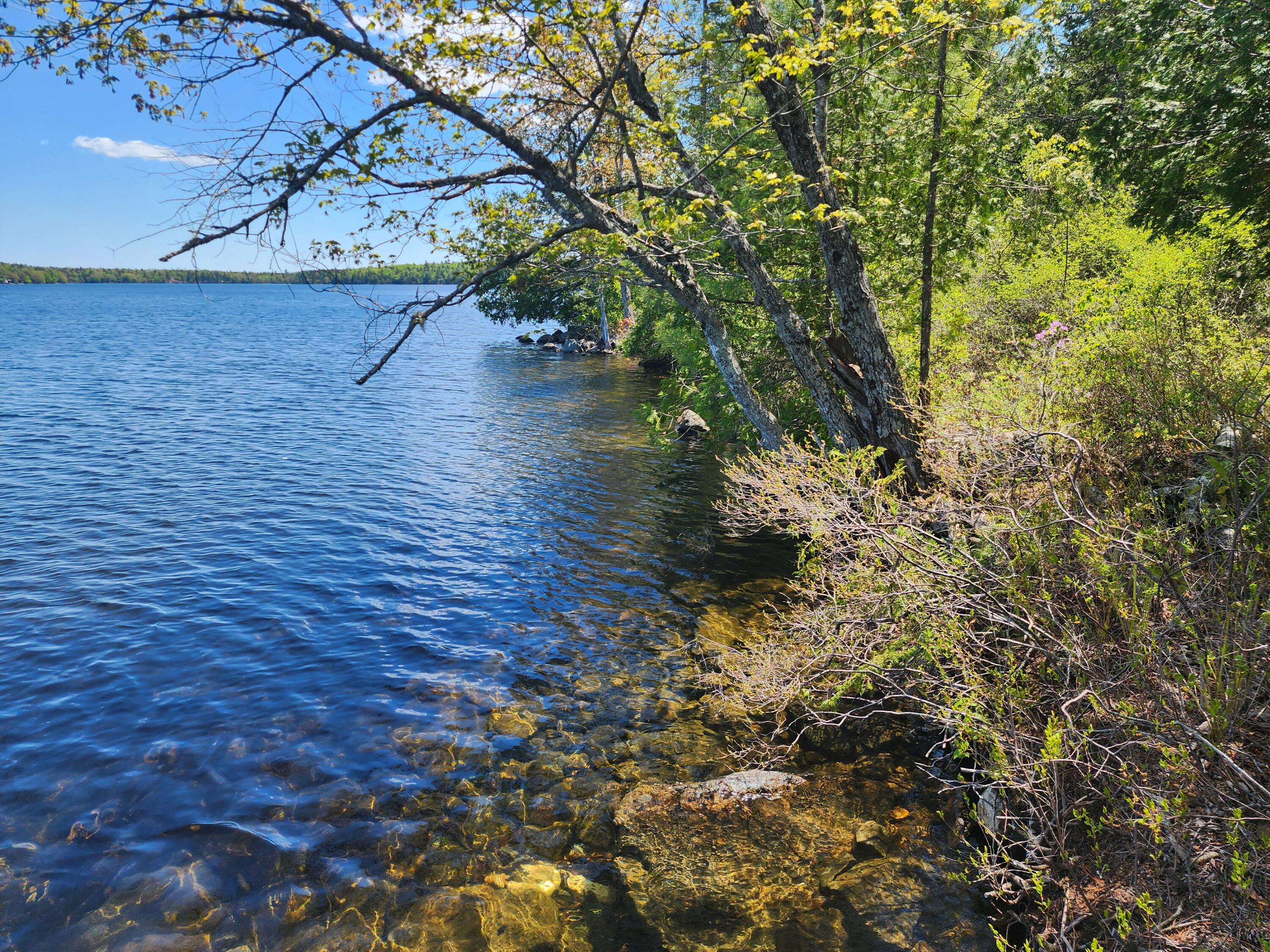 Lot L Center Road Cooper, ME 04657 - Photo 7 of 16 20250528_122038