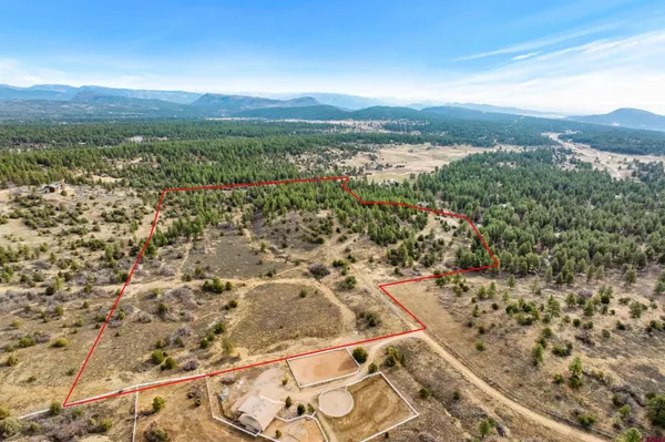 a view of a dry yard with wooden fence