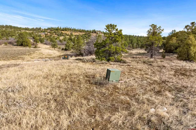 a view of a lake with a mountain
